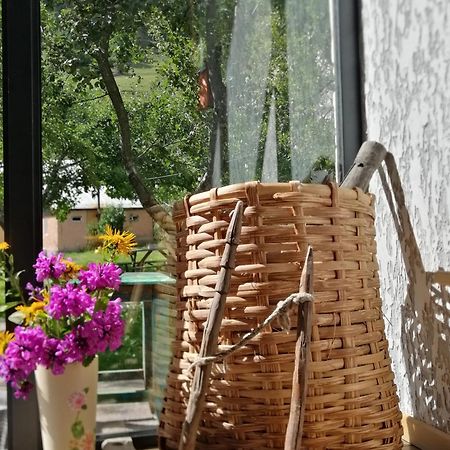 Ioska'S House Hotel Mestia Exterior photo