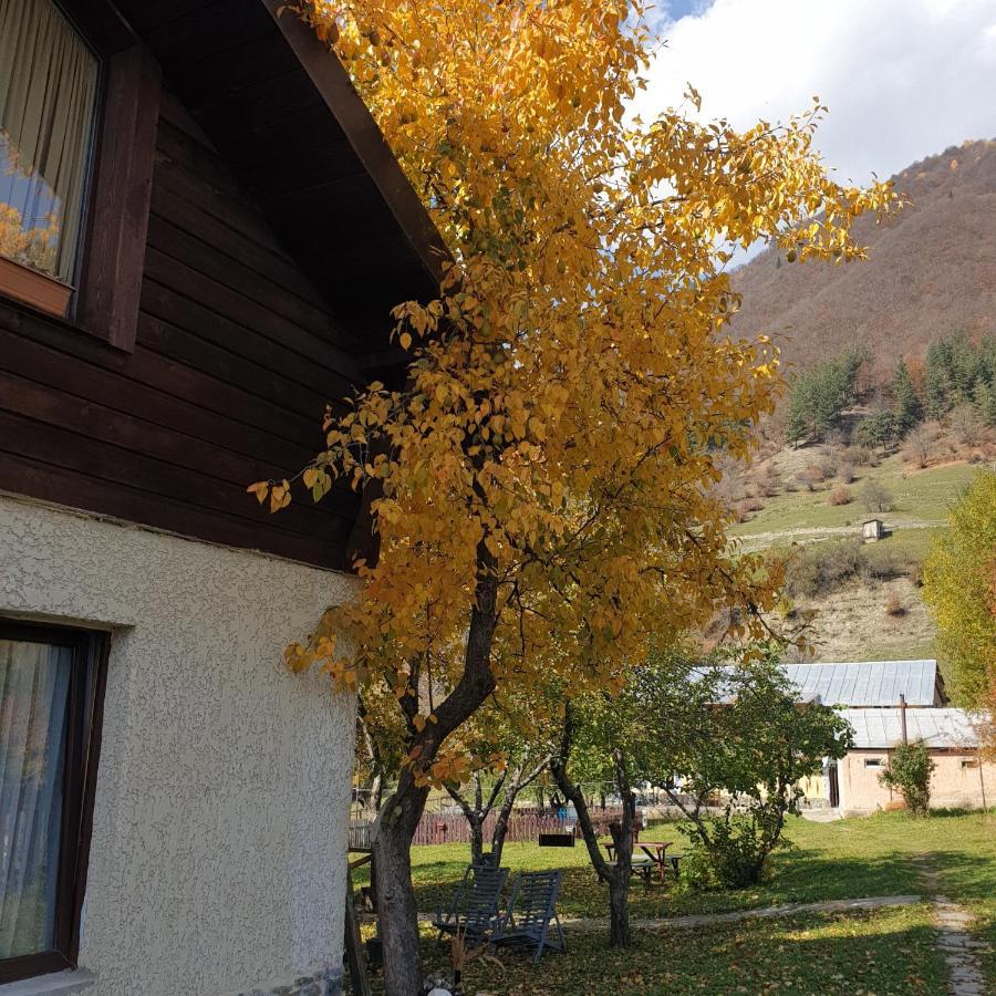 Ioska'S House Hotel Mestia Exterior photo