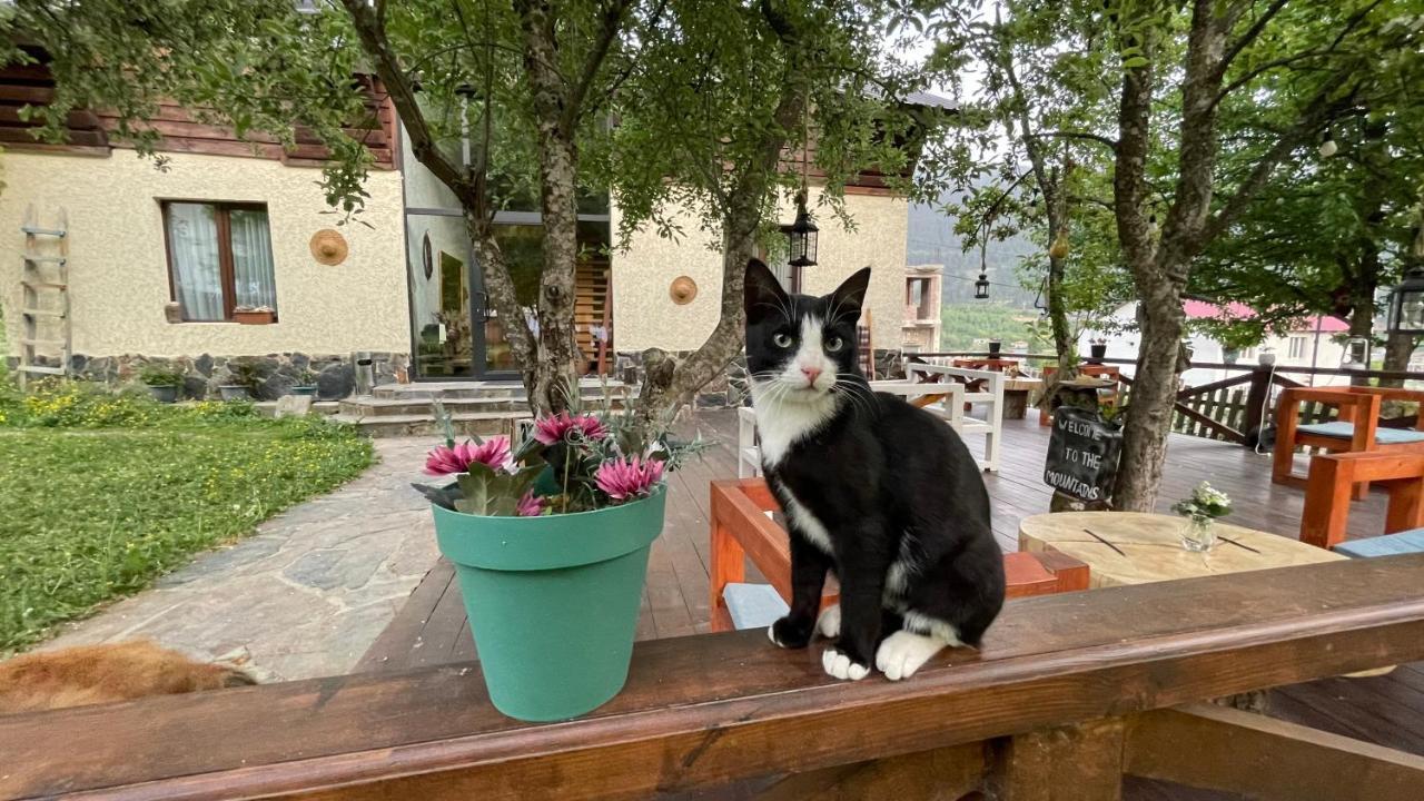 Ioska'S House Hotel Mestia Exterior photo