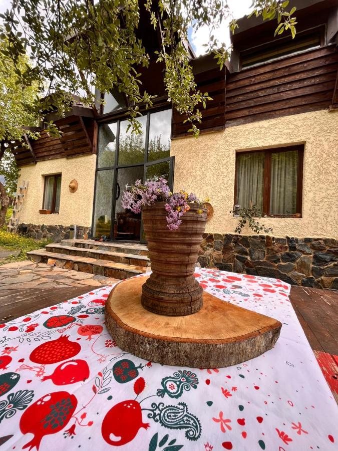 Ioska'S House Hotel Mestia Exterior photo